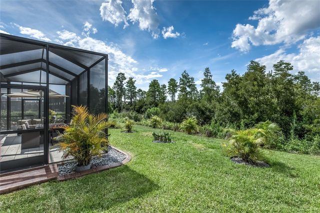 19133 SHIP WHEEL WAY, Land O Lakes, FL 34638