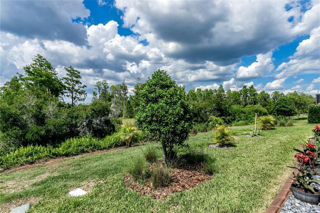 19133 SHIP WHEEL WAY, Land O Lakes, FL 34638