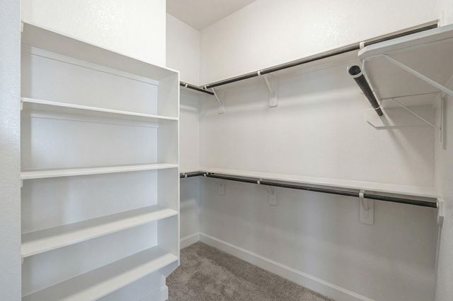 1151 Beals Creek Street, Conroe, TX 77304