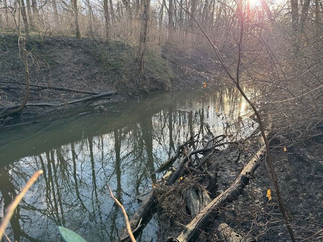 83 Oak Creek Drive, Yorkville, IL 60560