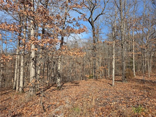 Silverton Lane, Bella Vista, AR 72715