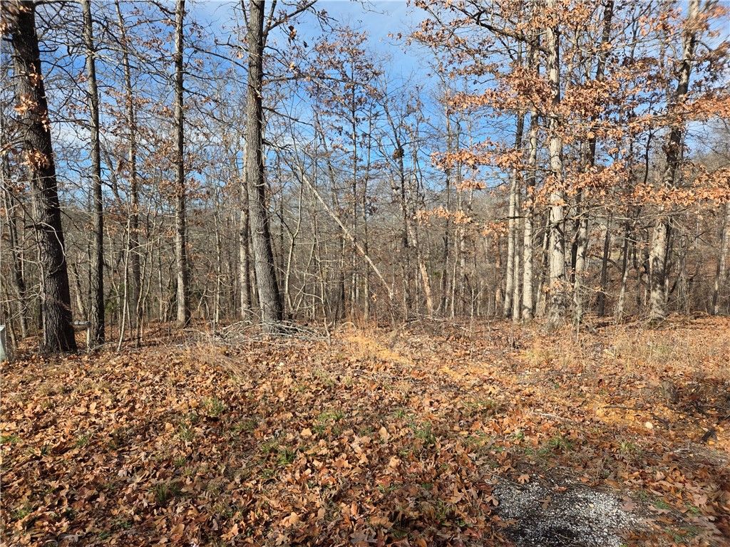 Silverton Lane, Bella Vista, AR 72715