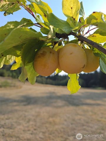 437 Woodpecker Lane, Friday Harbor, WA 98250