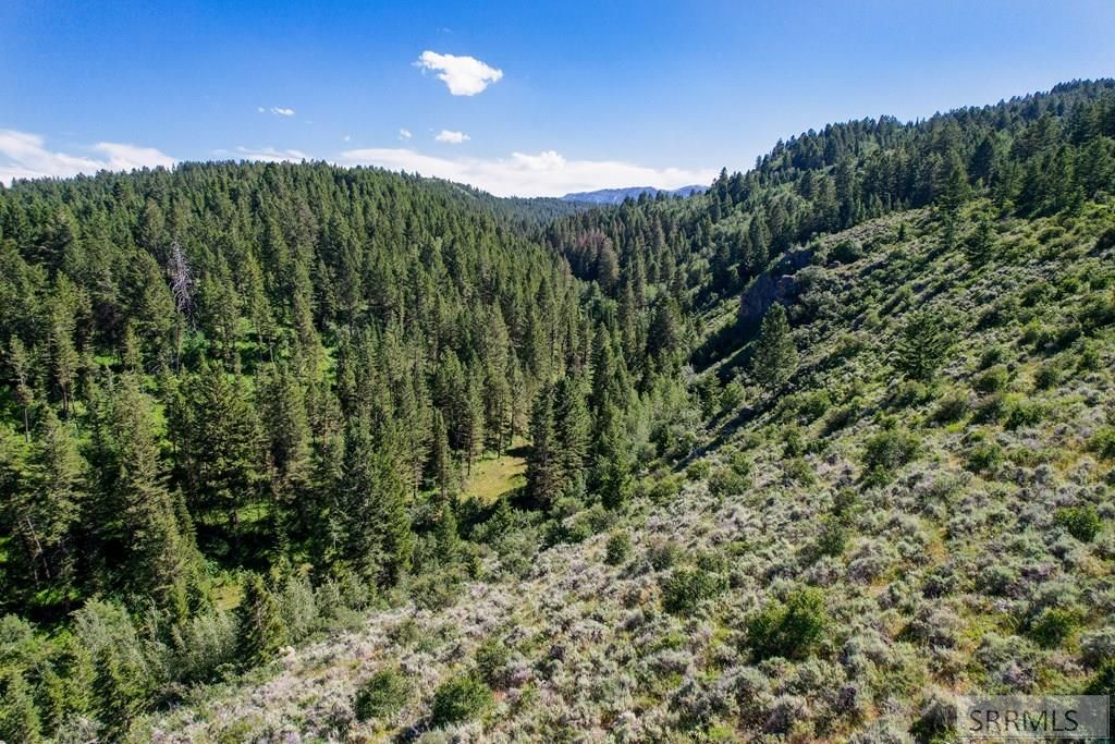 Image 13 of property listing at 3090 N 8000 W, Tetonia, ID 83452