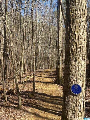 2072 WOHALI DRIVE, Leeds, AL 35094