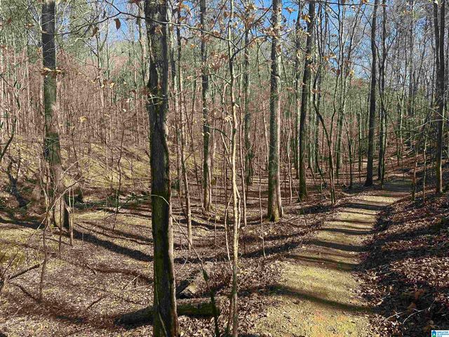 2072 WOHALI DRIVE, Leeds, AL 35094