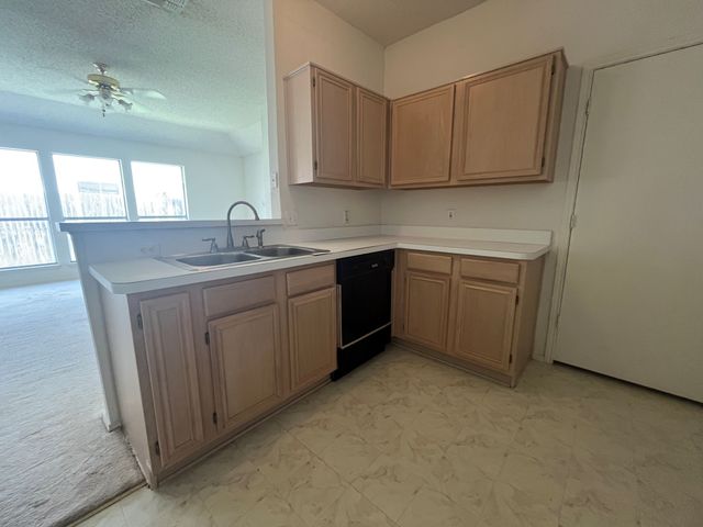 3141 Twisted Vine Lane, Grand Prairie, TX 75052