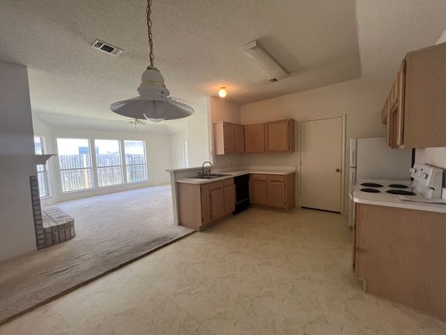 3141 Twisted Vine Lane, Grand Prairie, TX 75052