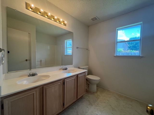 3141 Twisted Vine Lane, Grand Prairie, TX 75052