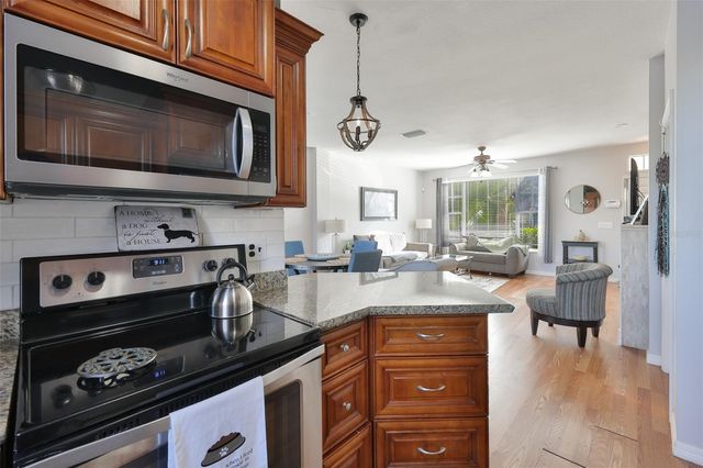 12349 COUNTRY WHITE CIRCLE, Tampa, FL 33635