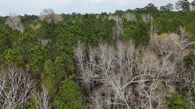 TBD Baxter Road, Livingston, TX 77351