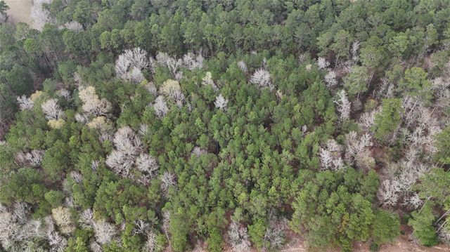 TBD Baxter Road, Livingston, TX 77351