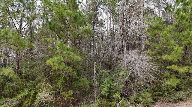 TBD Baxter Road, Livingston, TX 77351