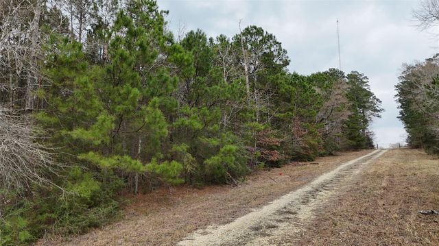 TBD Baxter Road, Livingston, TX 77351