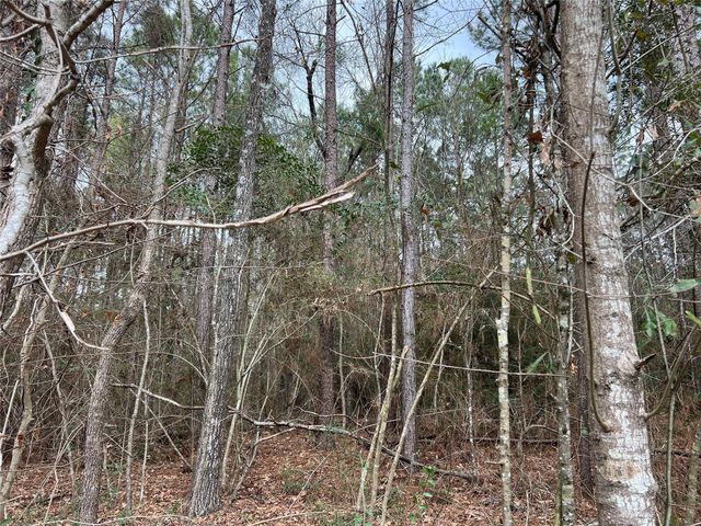 TBD Baxter Road, Livingston, TX 77351