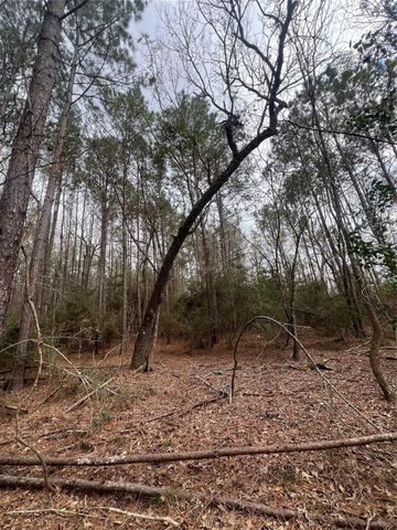 TBD Baxter Road, Livingston, TX 77351