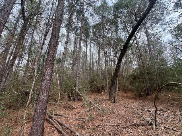 TBD Baxter Road, Livingston, TX 77351