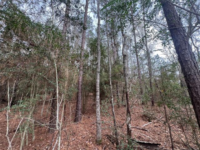 TBD Baxter Road, Livingston, TX 77351