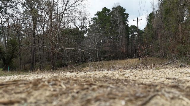 TBD Baxter Road, Livingston, TX 77351