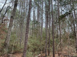 TBD Baxter Road, Livingston, TX 77351