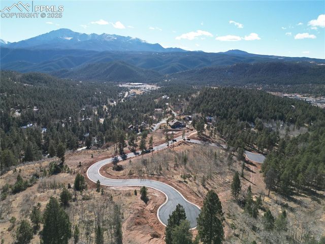 1410 Red Haven Place, Woodland Park, CO 80863