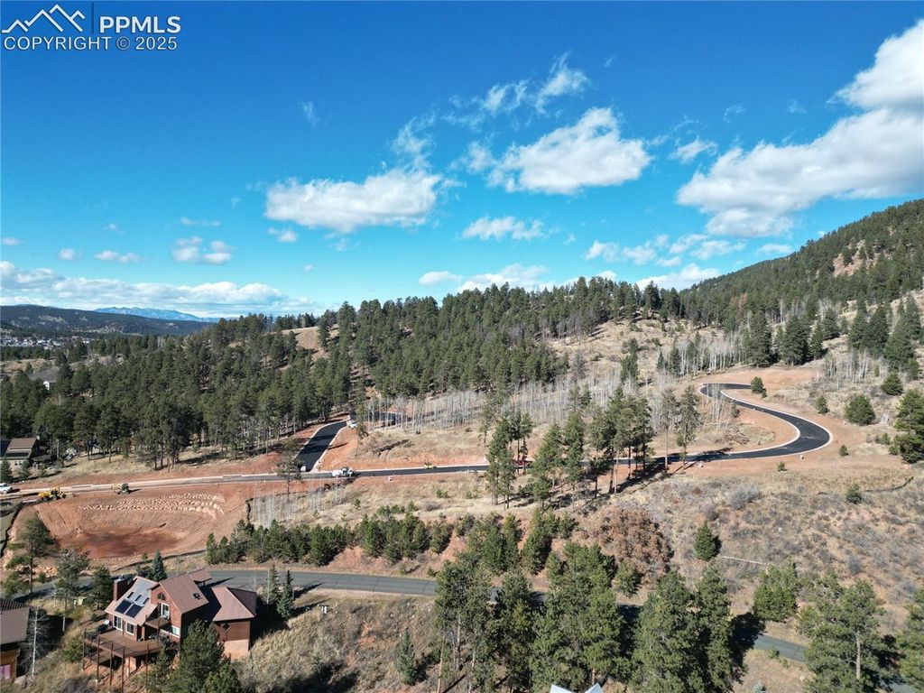 1410 Red Haven Place, Woodland Park, CO 80863