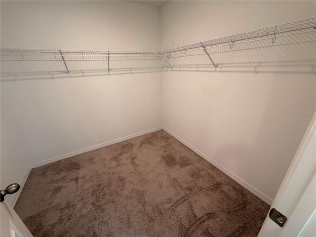 11153 GREEN CITRON ALLEY, Winter Garden, FL 34787