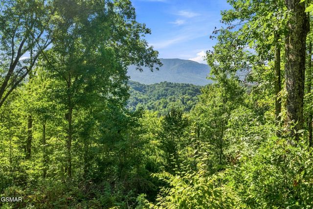 2453 Lower Rinehart Road, Dandridge, TN 37725