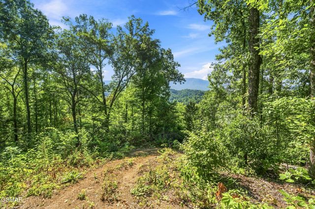2453 Lower Rinehart Road, Dandridge, TN 37725