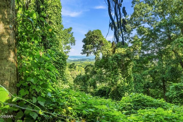 2453 Lower Rinehart Road, Dandridge, TN 37725