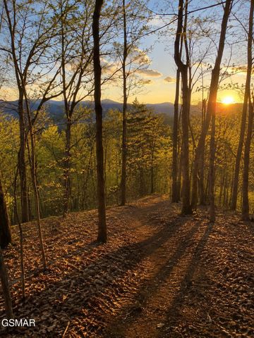 2453 Lower Rinehart Road, Dandridge, TN 37725