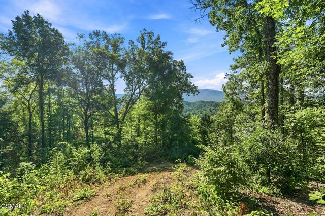 2453 Lower Rinehart Road, Dandridge, TN 37725