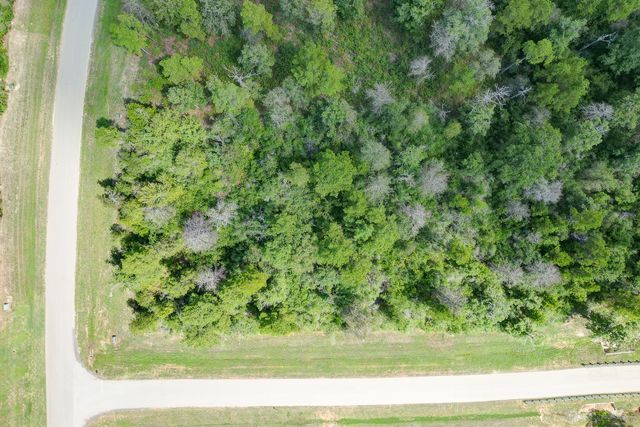 10692 Ruger Road, Willis, TX 77378
