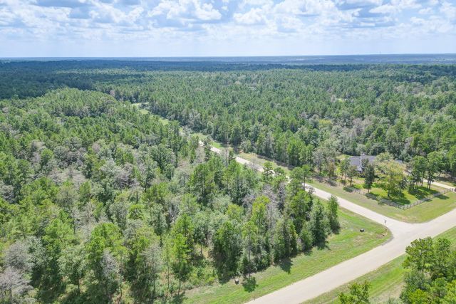 10692 Ruger Road, Willis, TX 77378