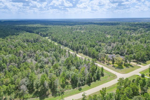 10692 Ruger Road, Willis, TX 77378