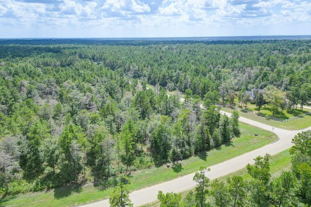 10692 Ruger Road, Willis, TX 77378