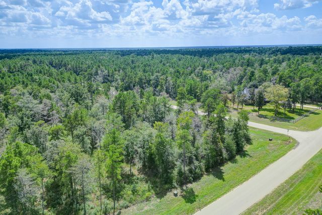 10692 Ruger Road, Willis, TX 77378