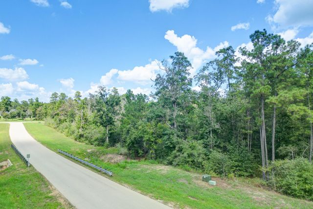 10692 Ruger Road, Willis, TX 77378