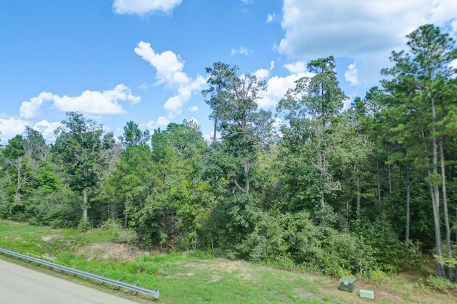 10692 Ruger Road, Willis, TX 77378