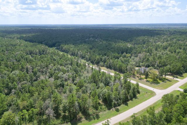 10692 Ruger Road, Willis, TX 77378