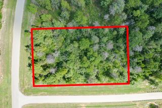 10692 Ruger Road, Willis, TX 77378