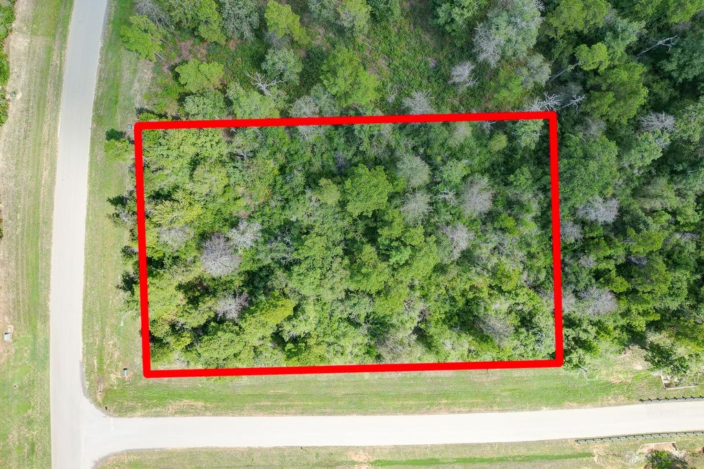 10692 Ruger Road, Willis, TX 77378