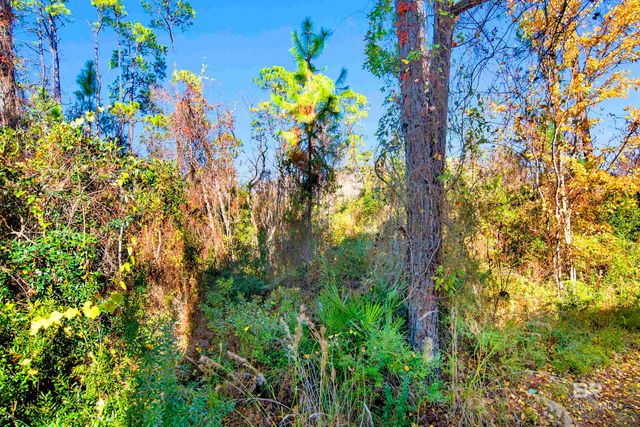 7955 Double Gate Drive, Pensacola, AL 32507