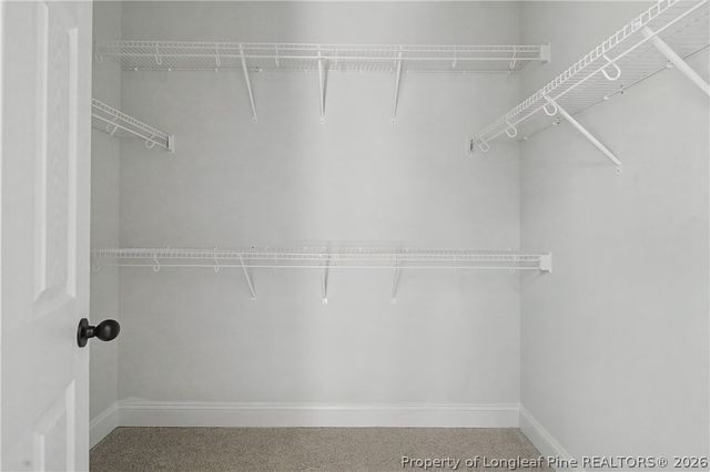 3039 Dinwiddle Drive, Wade, NC 28395