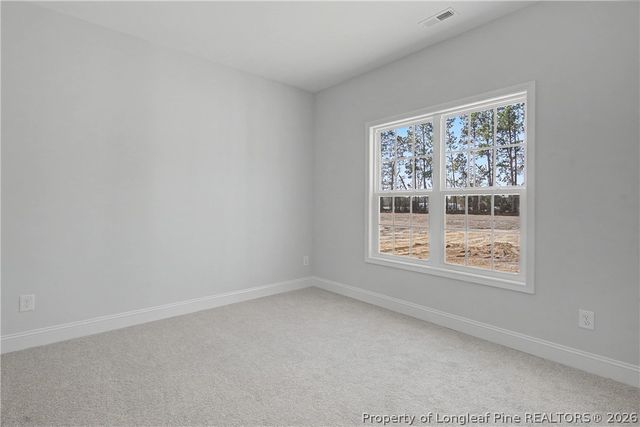 3039 Dinwiddle Drive, Wade, NC 28395