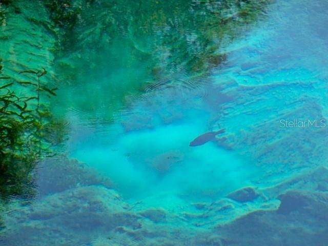 19176 SW 93RD LOOP, Dunnellon, FL 34432