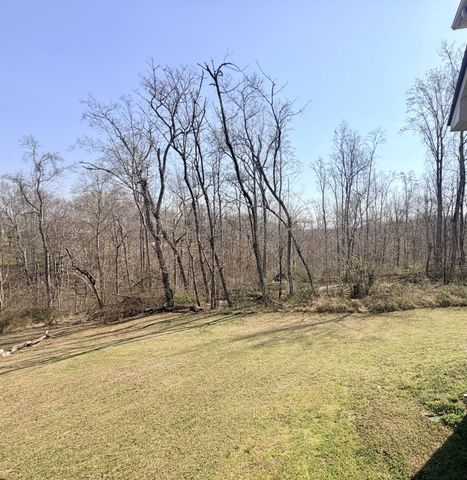 391 Kristie Michelle Ln, Clarksville, TN 37042