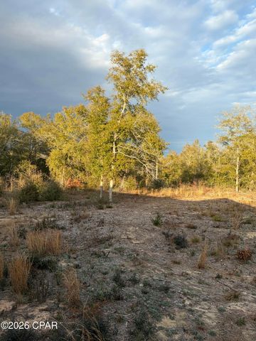 3360 Peppervine Place, Chipley, FL 32428