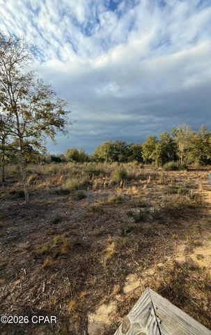 3360 Peppervine Place, Chipley, FL 32428