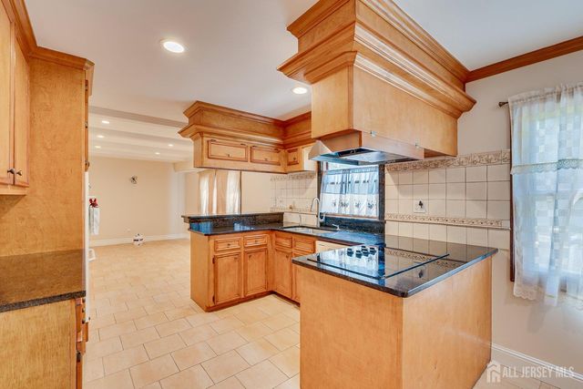20 Tamarack Road, Franklin, NJ 08873